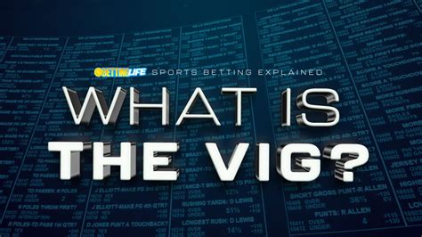 what is the vig in betting